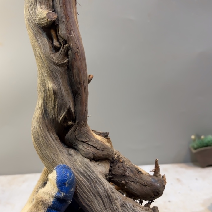 小***好崖柏高油雕刻坨坨