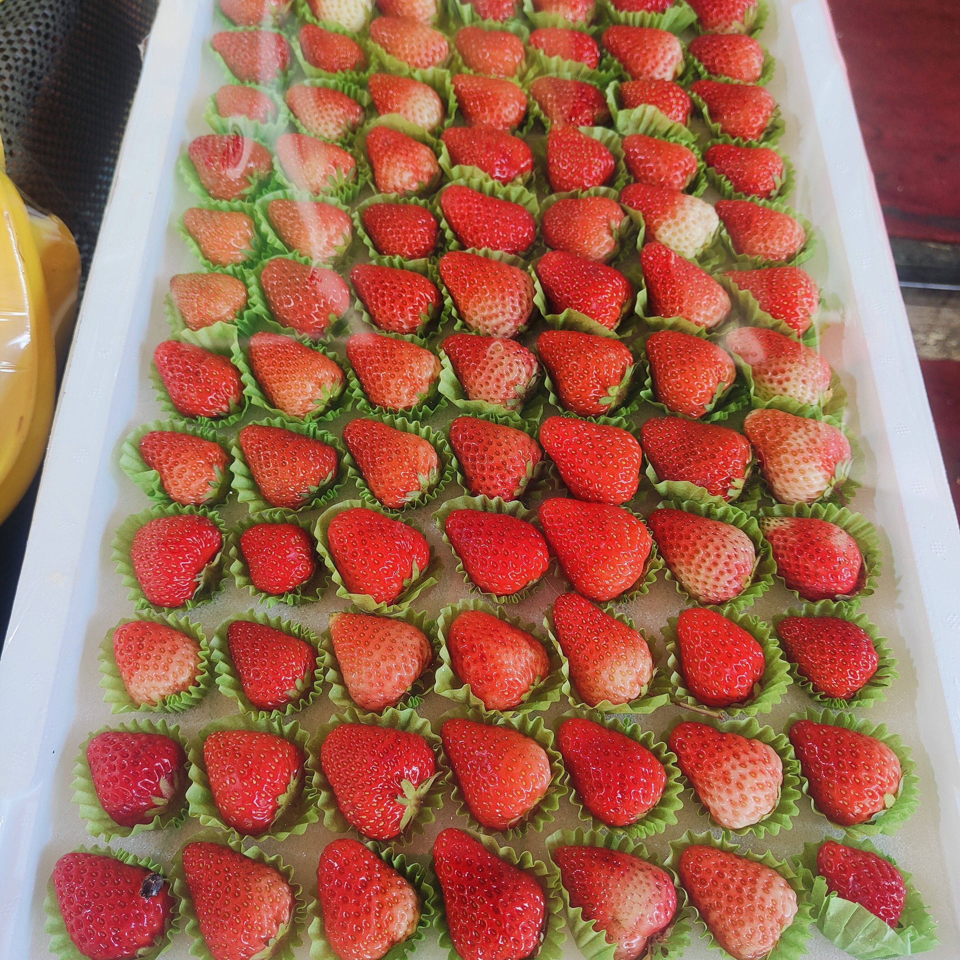 丹东99草莓(84个果)/一板毛重约3斤左右