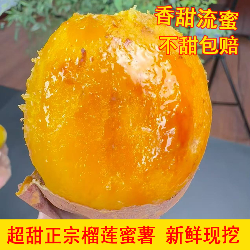 【可蒸可煮可烤】正宗云南金瑶榴莲蜜薯口感细腻丝滑香甜黄金蜜薯