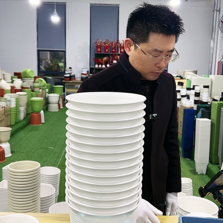 正品矮陶口21高15白色8只无托