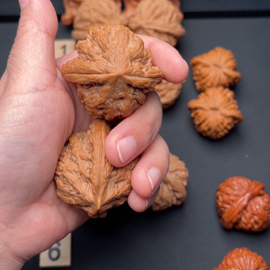 老***范把件桃核虎头王25.419