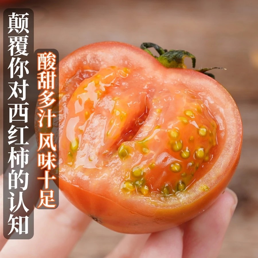 【浩然家庭农场】现摘新鲜草莓西红柿五斤