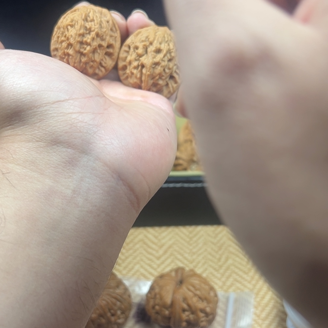 H***.好想要这只可爱又乖巧猫的表情哈哈好