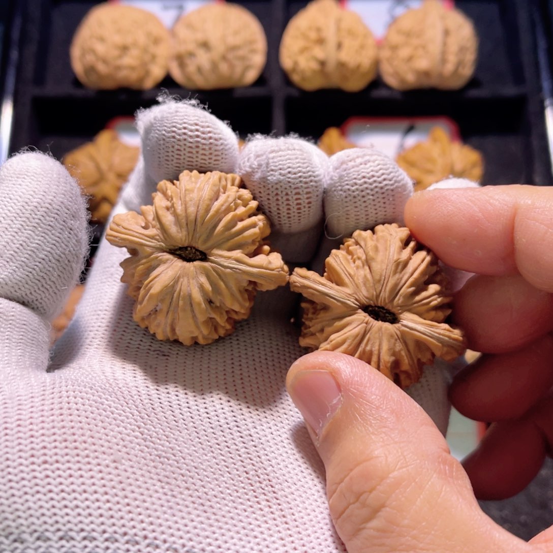 久**y秦皇岛山地果全品