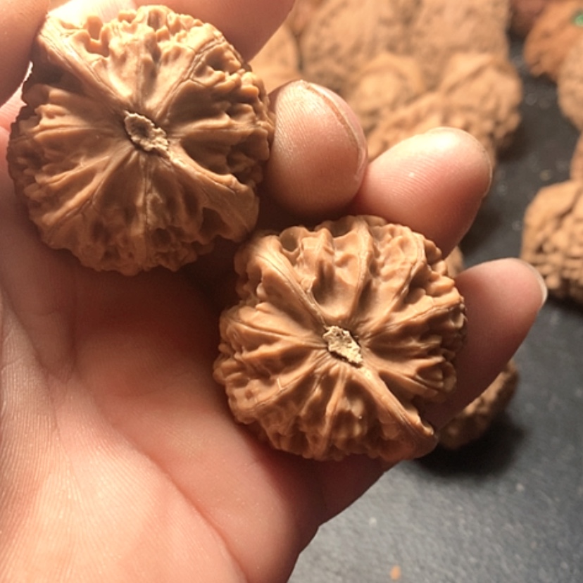 【闪购商品】低*哥宫灯