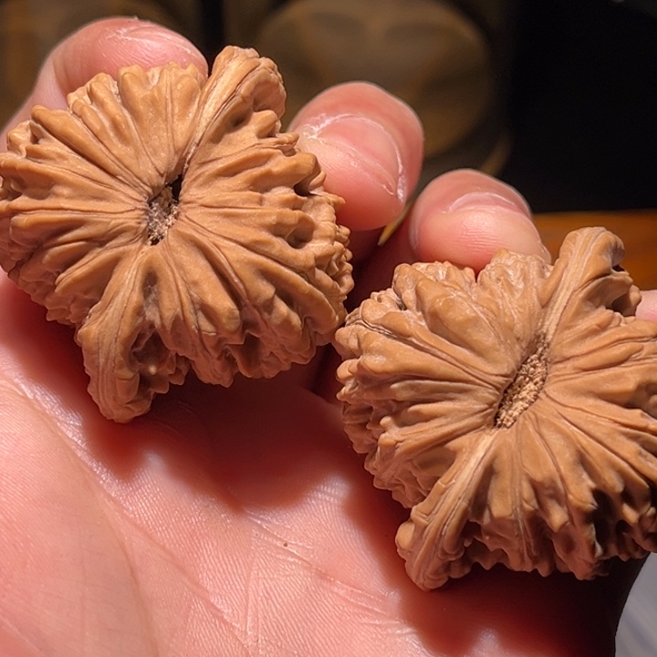 文玩核桃把件奶*42楼子