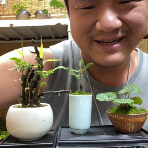 红陶一物一拍所见即所得32