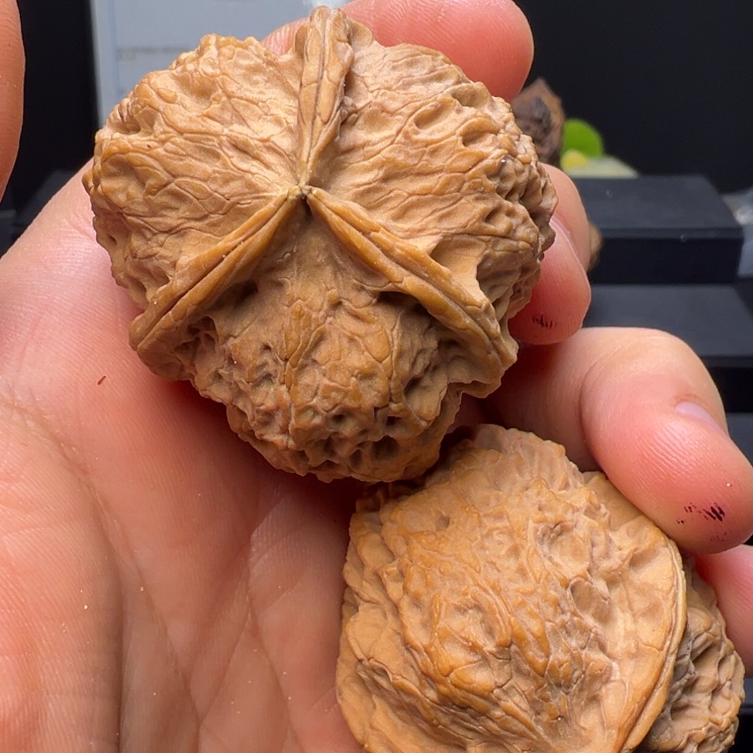 吊坠文玩核桃水龙纹三棱44mm