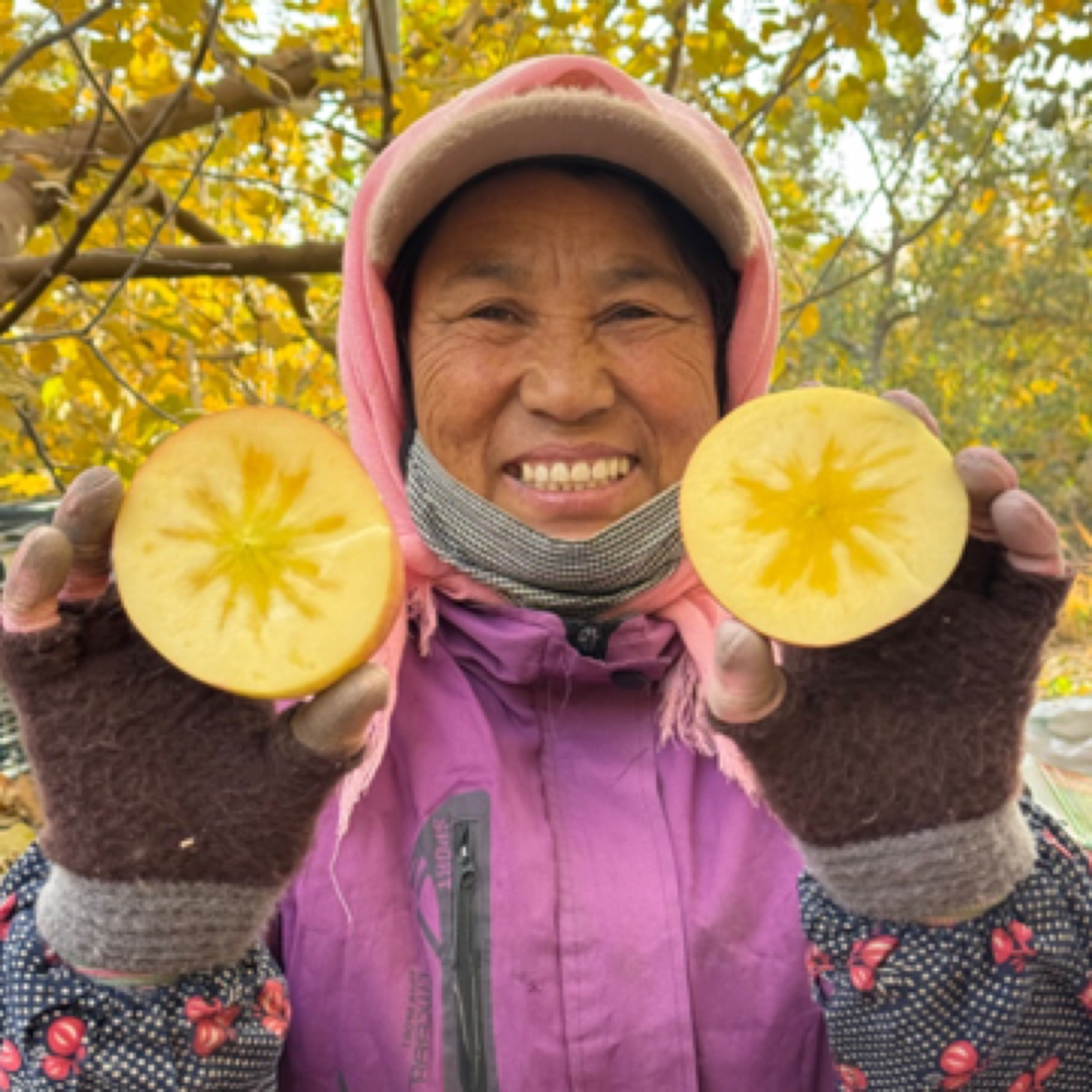 【顺丰包邮坏果包赔】新疆阿克苏冰糖心苹果6枚霸王果净重5斤