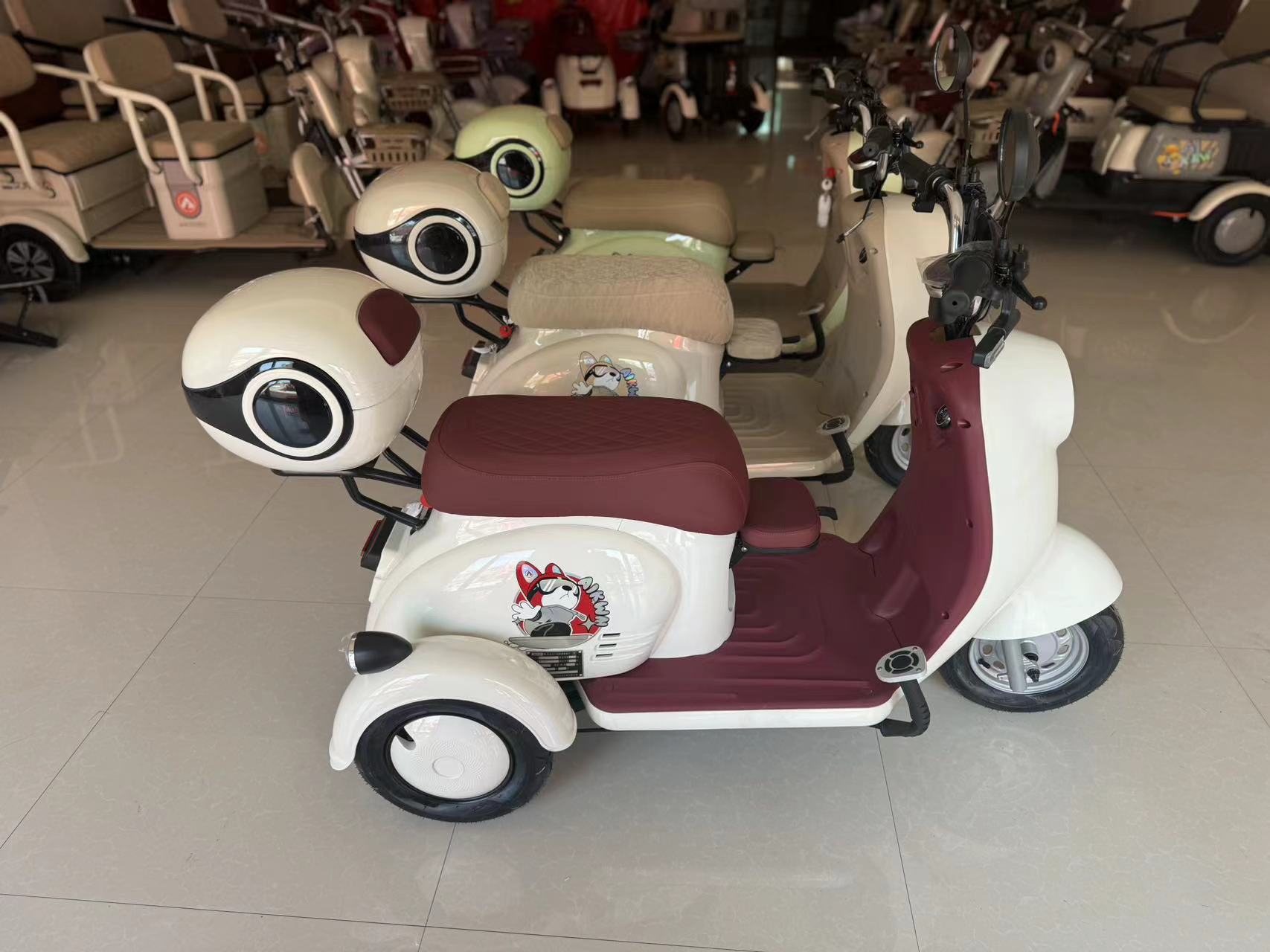 网红款小乌龟三轮车