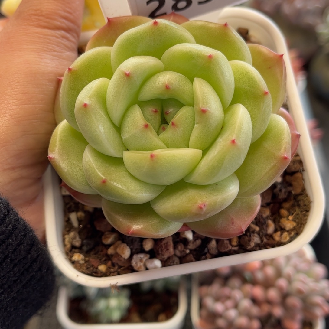 潇***2857 满30包邮，天冷地区必拍保温箱