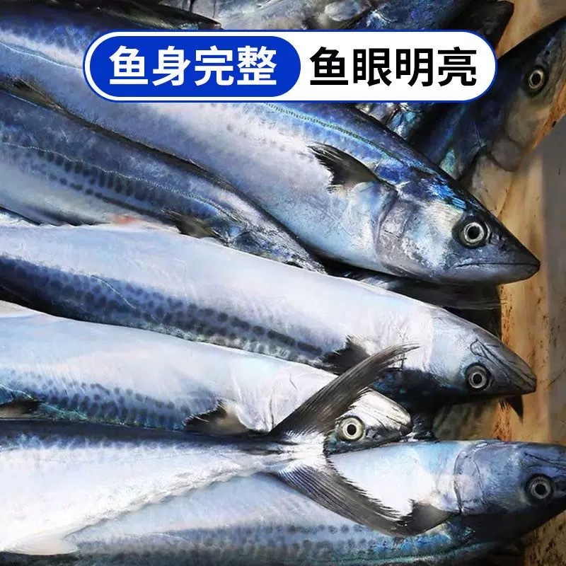 【4条装】燕鲅鱼马鲛鱼4.5斤(破肚脱刺正常现象介意勿拍)