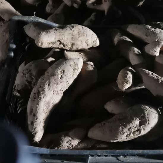西瓜红次果不分大小果5斤