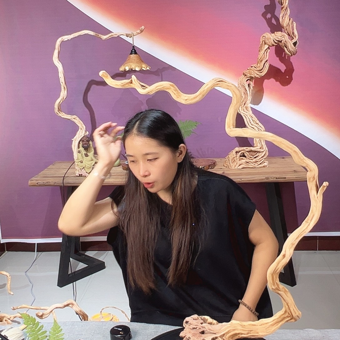 掌***柜木天然杜鹃根根艺摆件