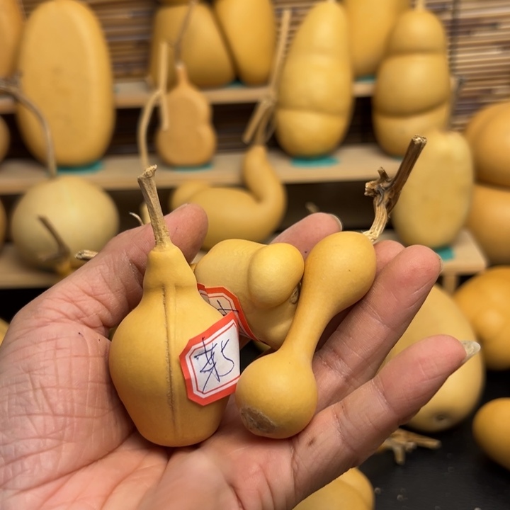 叠*芽2333333336366666