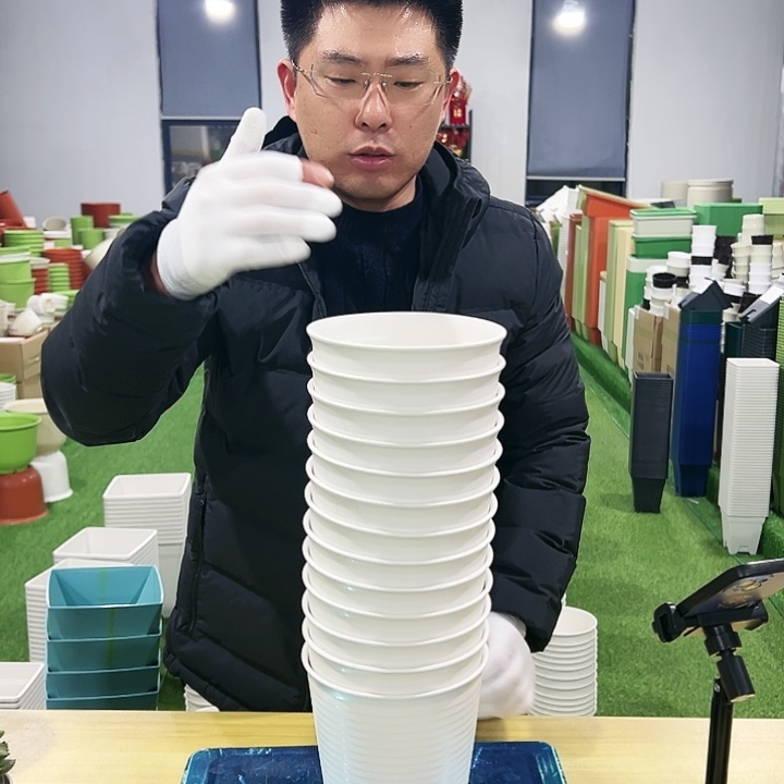 正品高陶口15高15白色8只无托