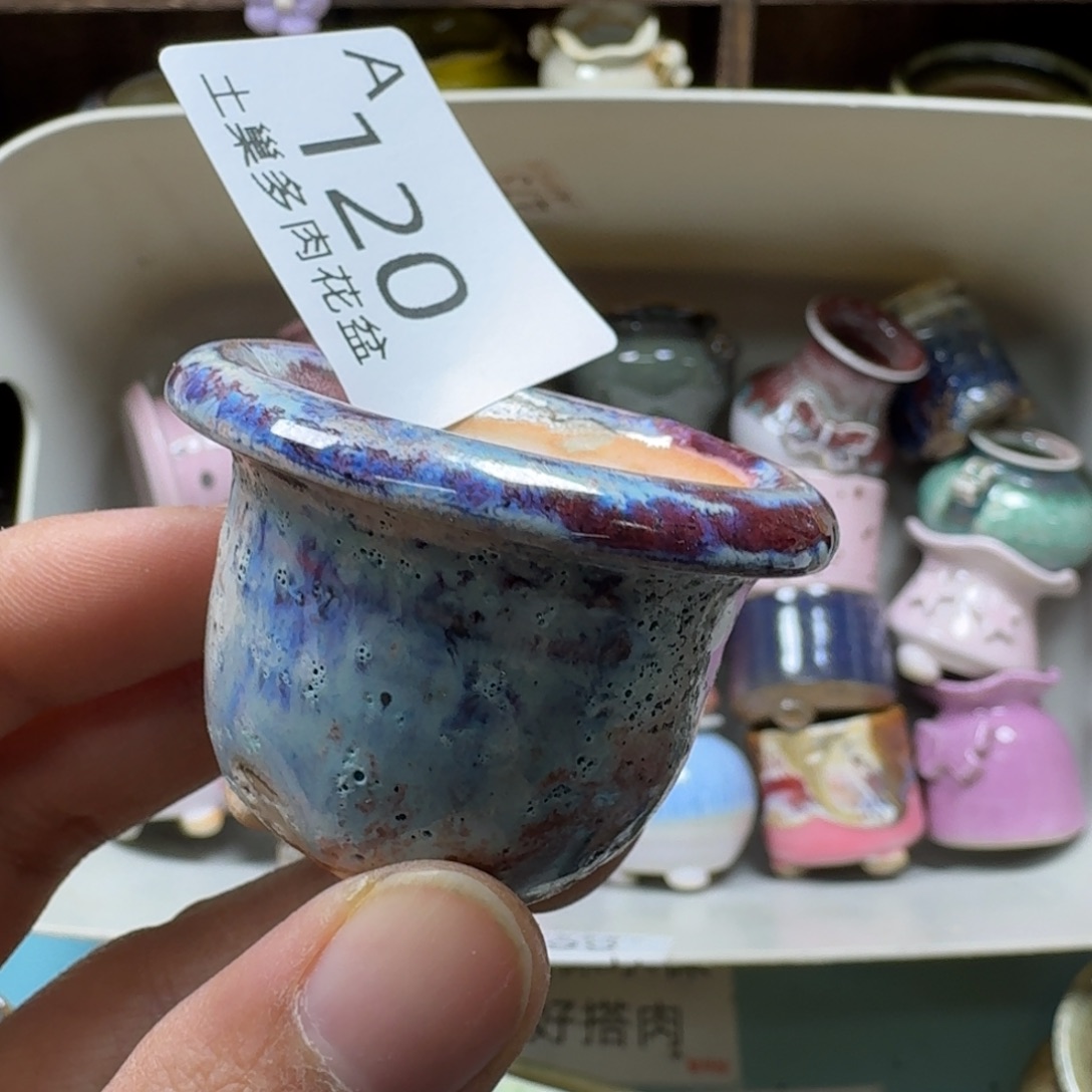 菇***凉陶瓷艺术品设计与制作