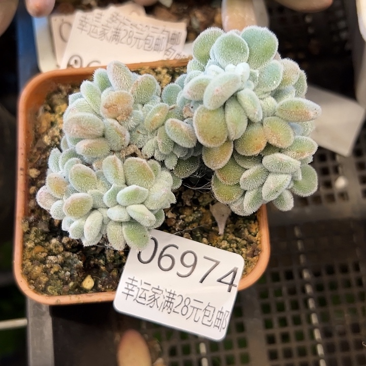 幸运的是我还没遇到过