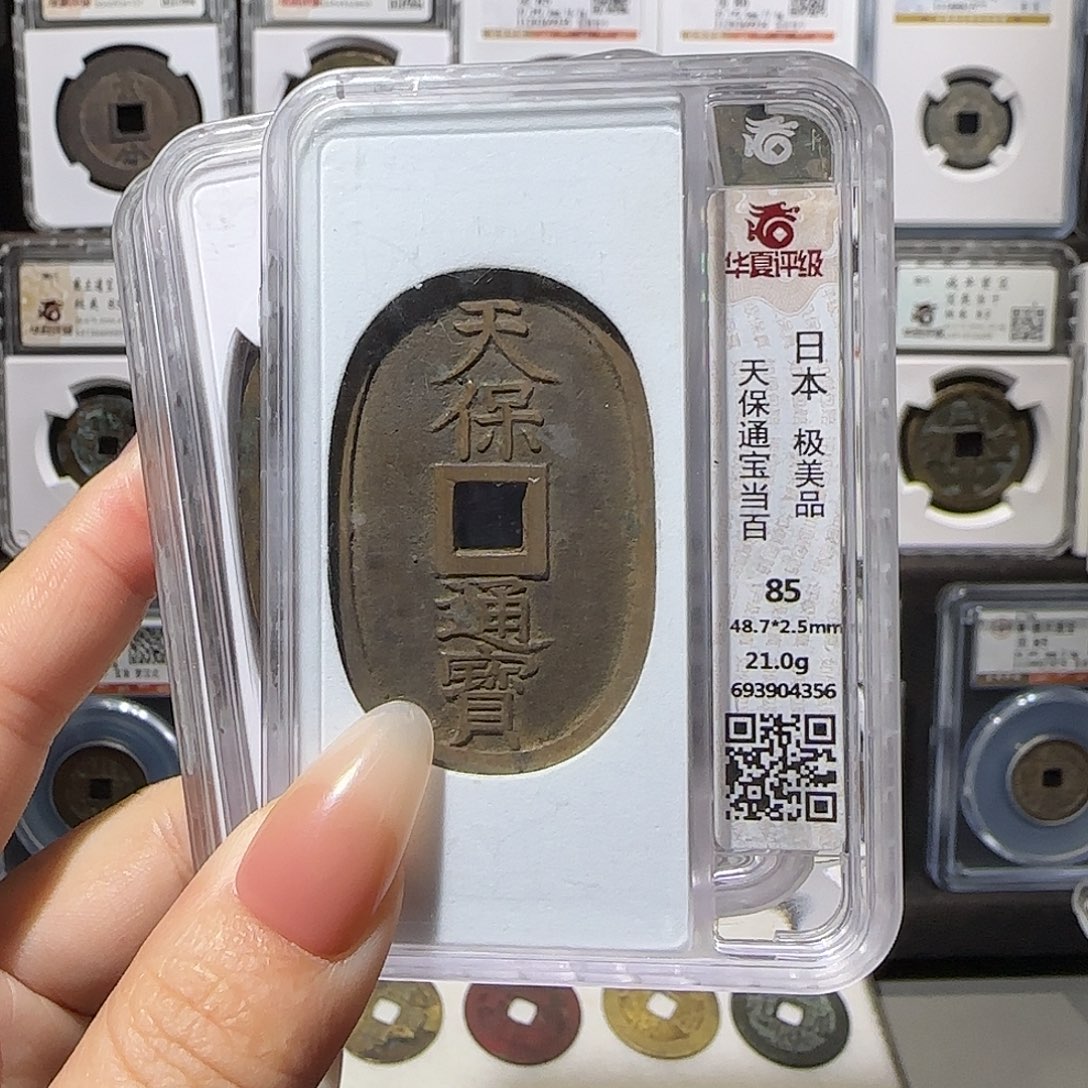 铜天保85同分发。。。。。5#