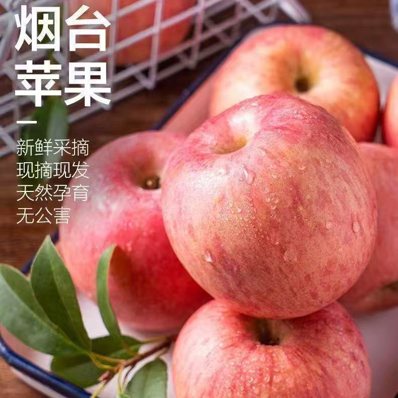 ［双十二优惠］正宗烟台红富士苹果新鲜采摘产地直发脆甜多汁