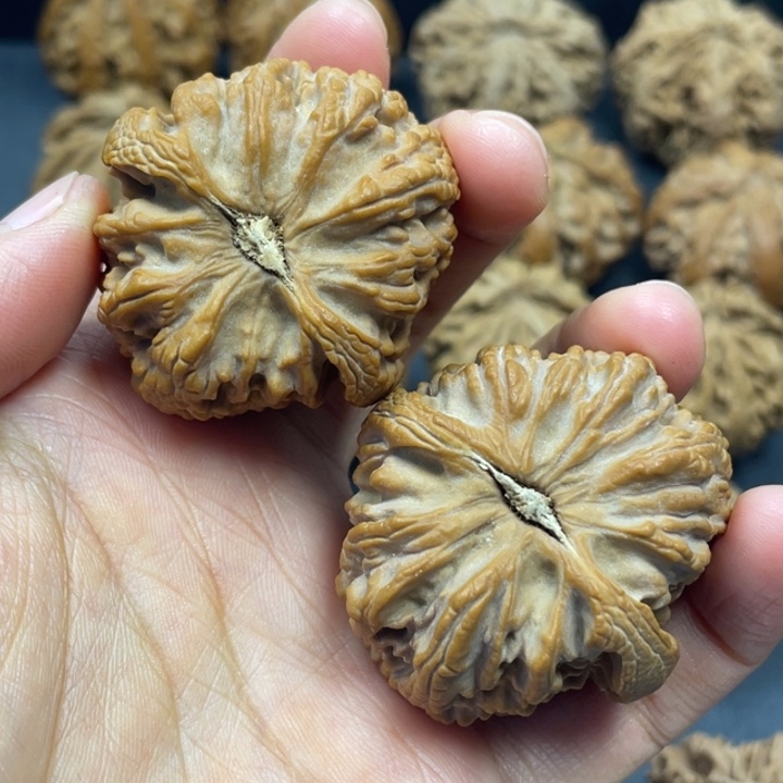 非***是文玩核桃吊坠突突突突突突突突突突