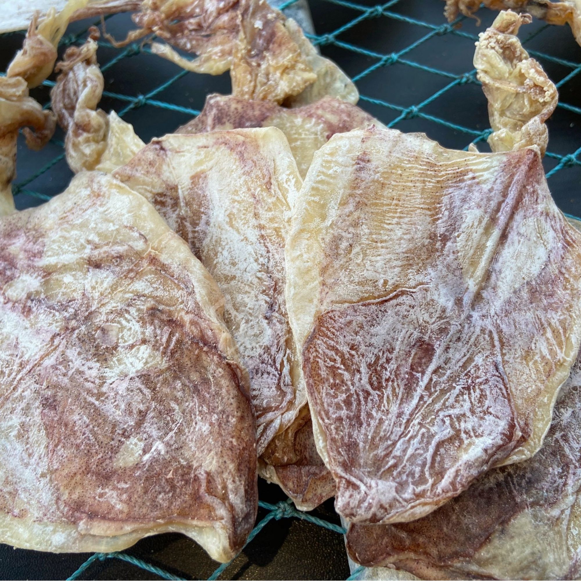1斤鱿鱼干当季新晒广东博贺港海鲜干货