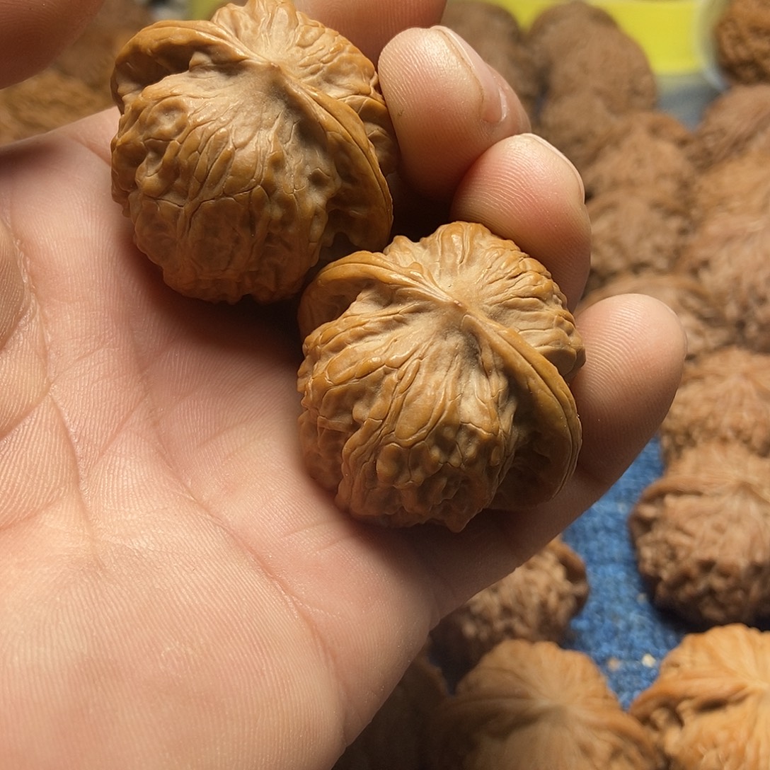 哈***哈文玩核桃把件野狼