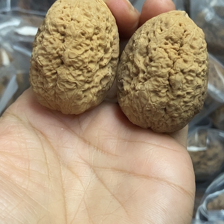 文玩核桃把件云南铁核桃基地31