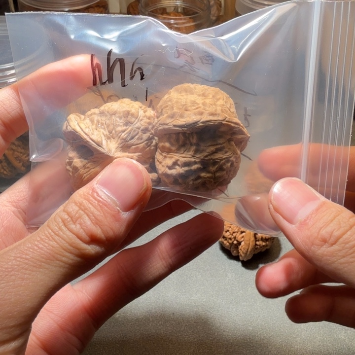 h***h吊坠文玩核桃南瓜