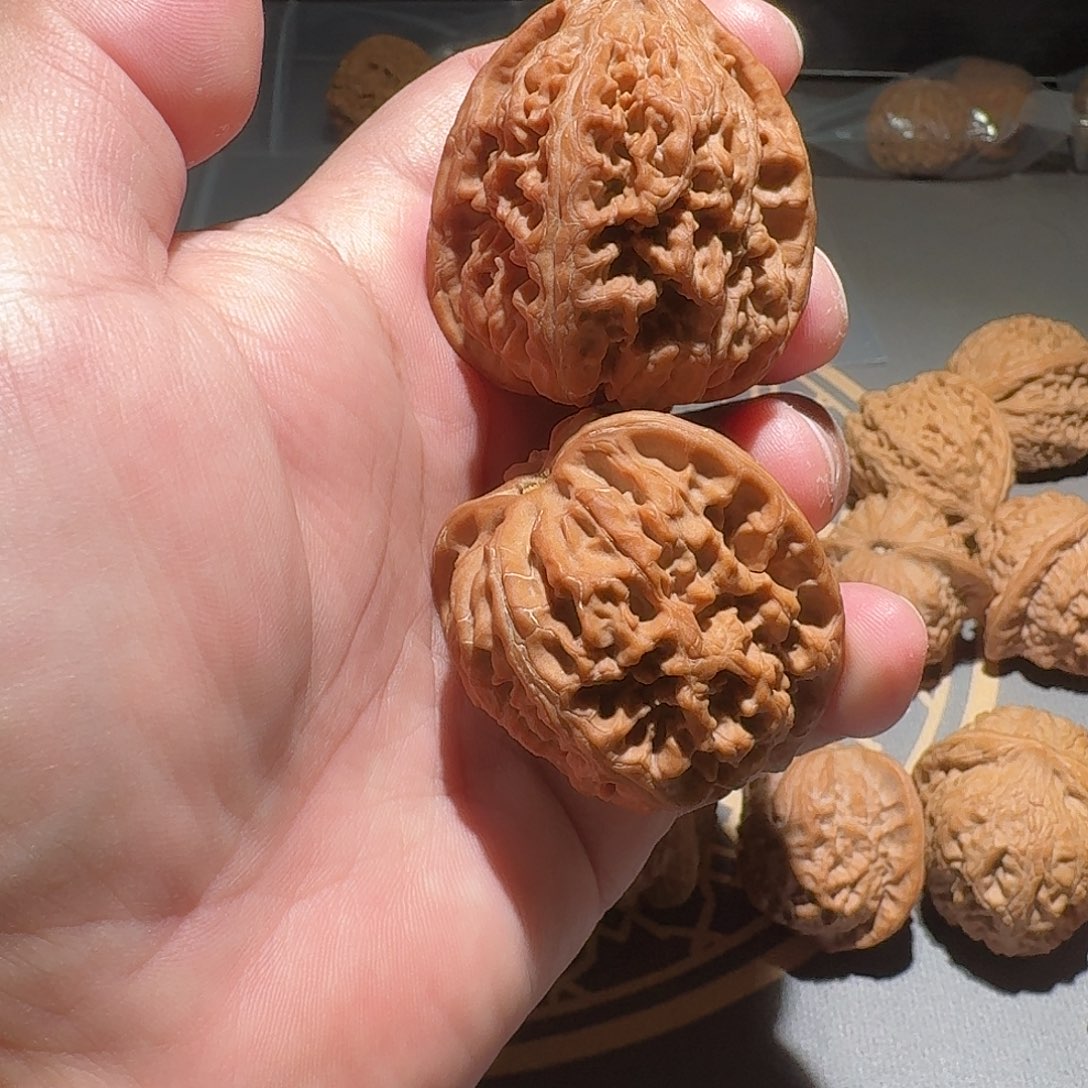 忠***山文玩核桃把件凤凰台