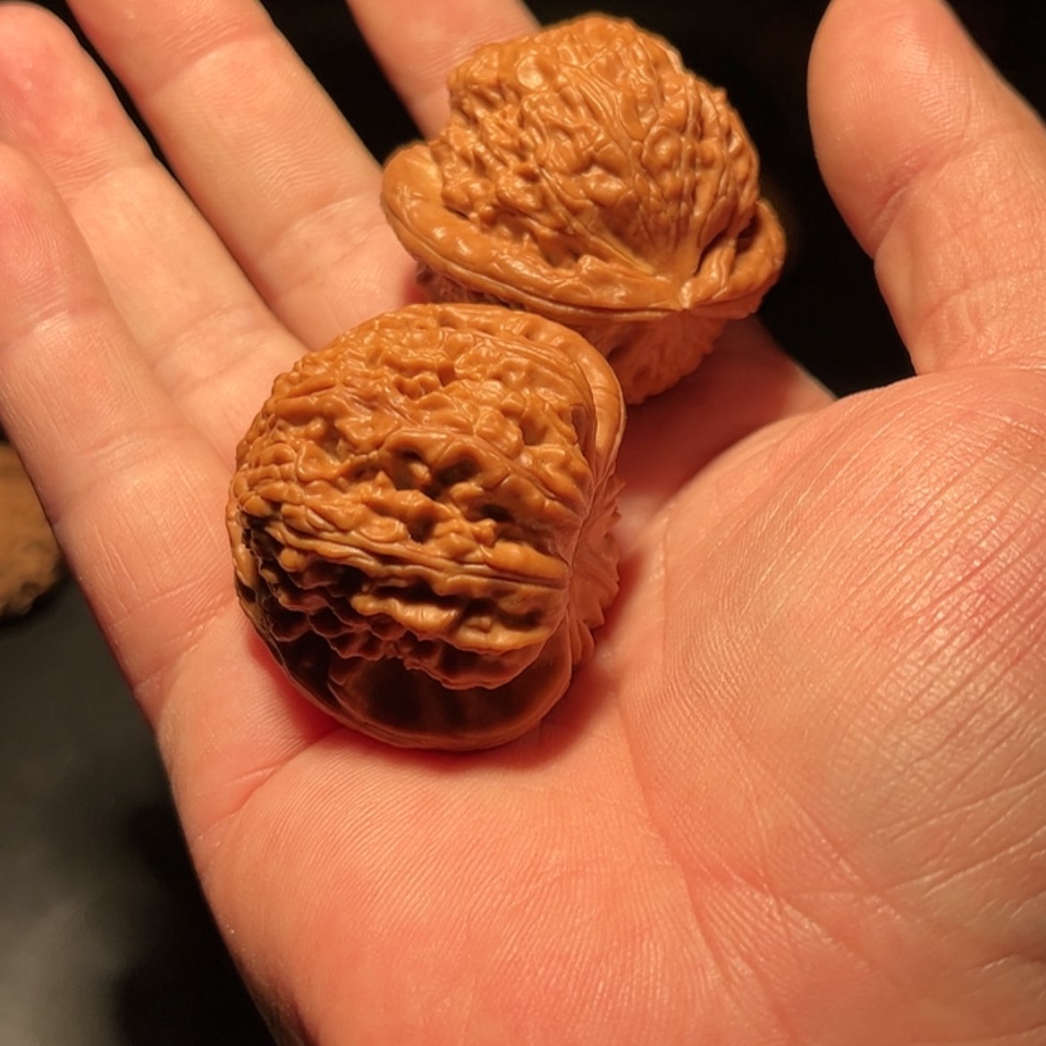 【闪购商品】w*文玩核桃木制手把件