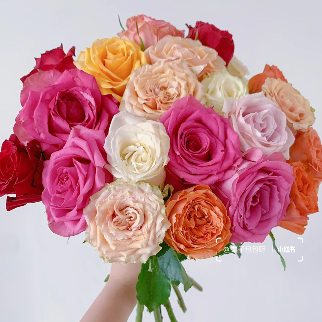 【单头玫瑰大全】空运4单包邮/热销榜花材/可发新疆西藏/偏远地区