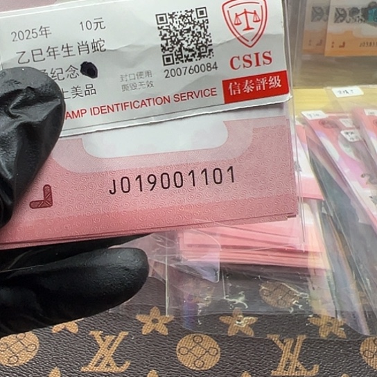 J019001101标十简易封装蛇