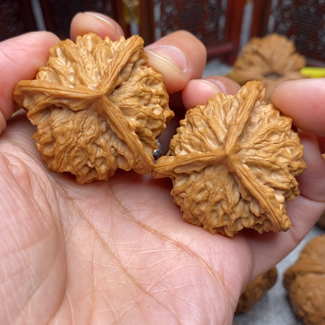 文玩核桃把件全品毕业盘山奔奔41尺