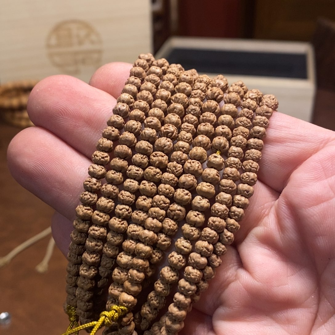 手串金刚菩提4.5-05佛手矮桩一图一