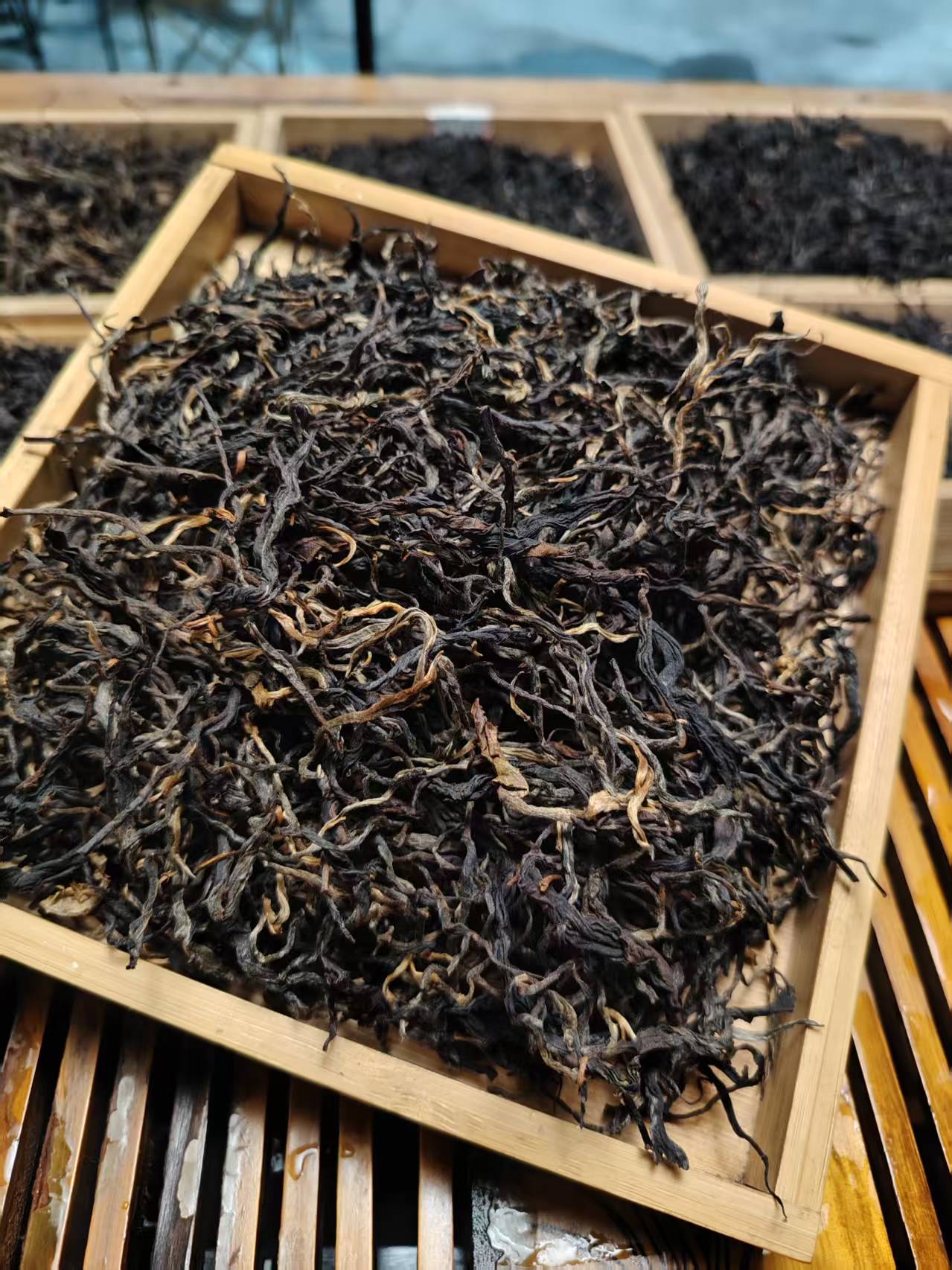 【2025云南古树滇红】野韵浓香，茶香浓郁