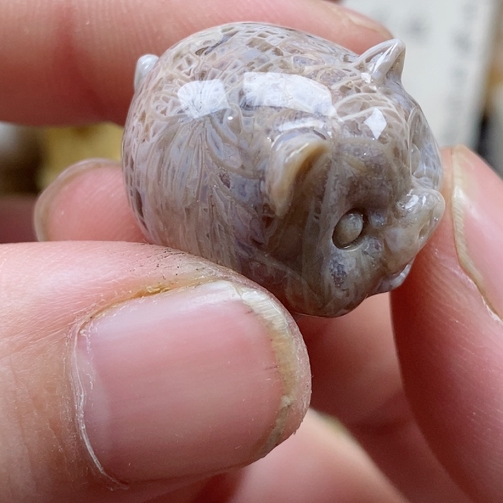 颈饰未镶嵌硅化珊瑚（珊瑚玉）没打孔 小