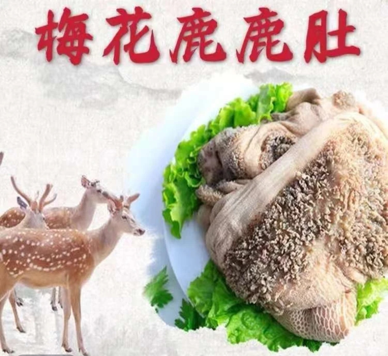 新鲜梅花鹿鹿肚金钱肚火锅烧烤食材金钱肚毛肚新鲜大毛肚产地直发