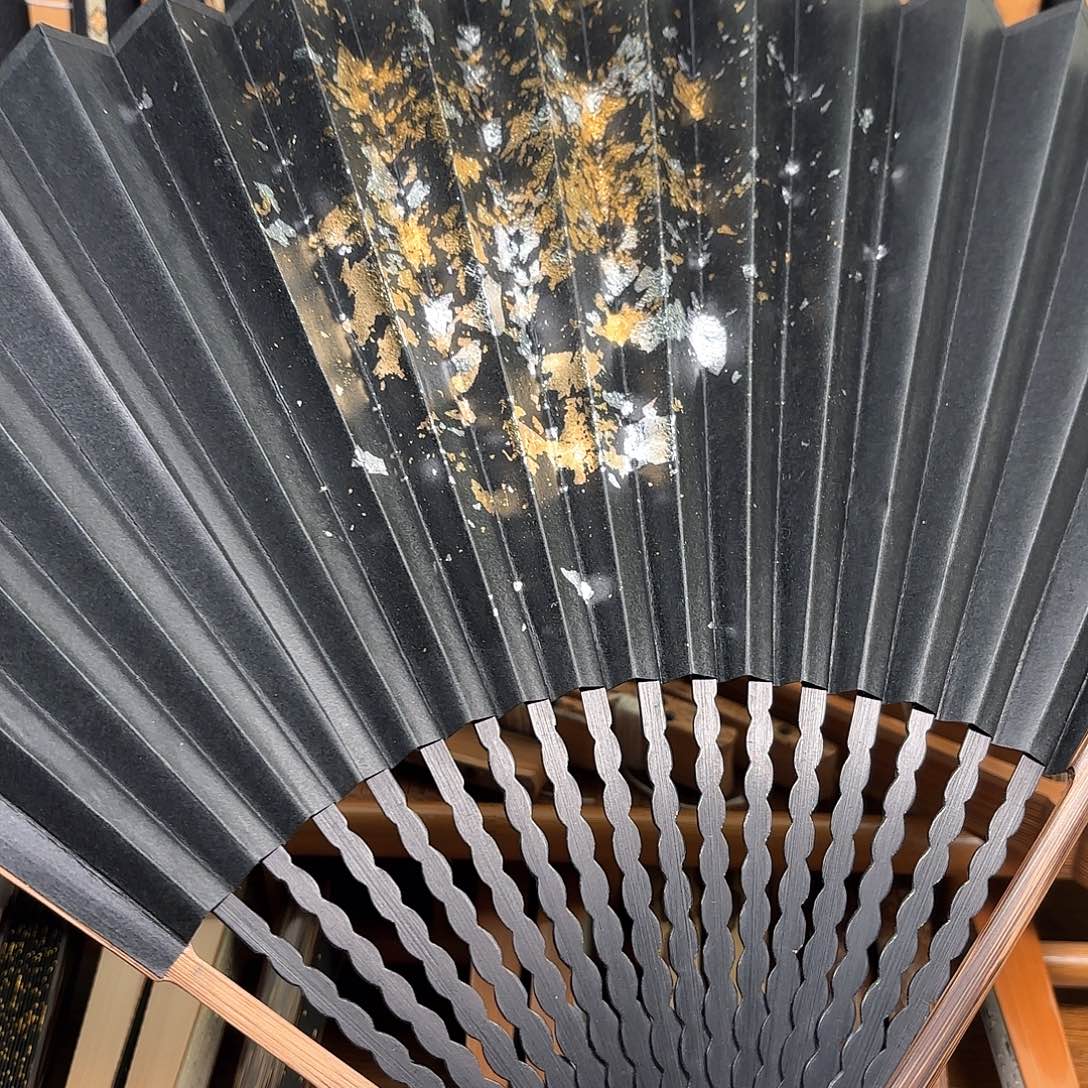 扇子爆炸金龙鳞棕竹