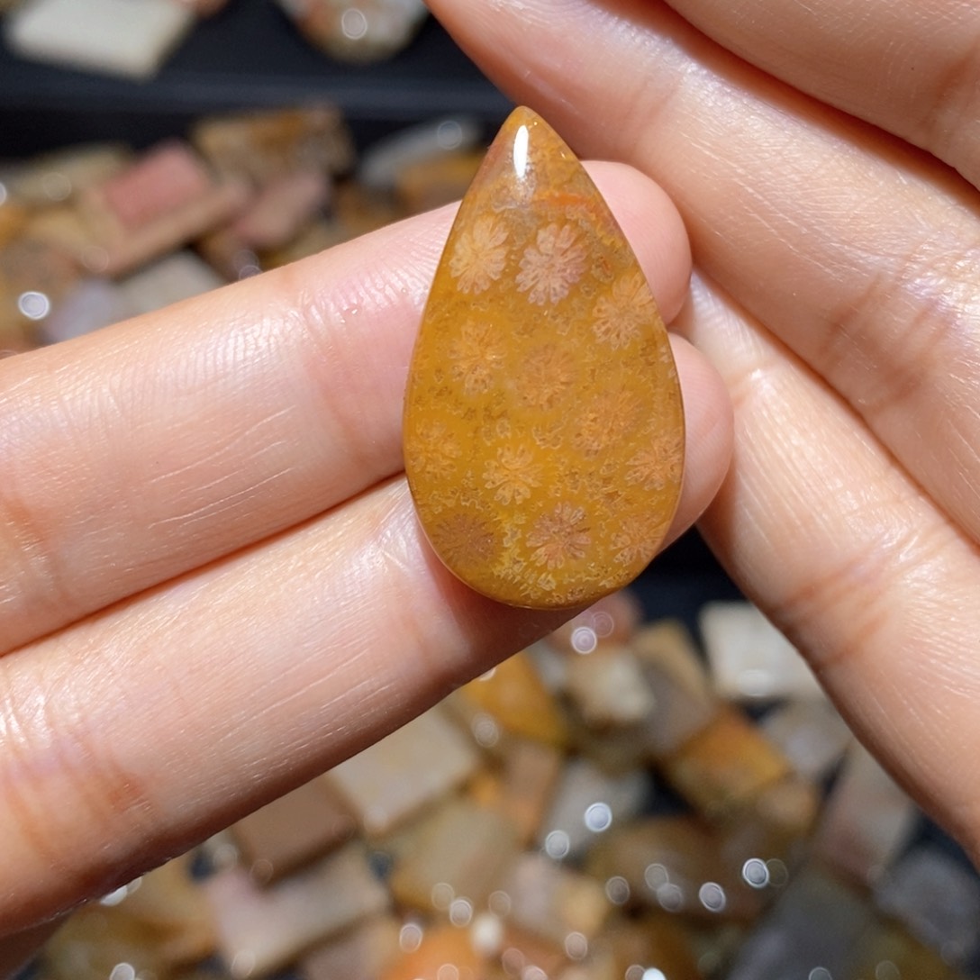 【闪购商品】硅化玉颈饰未镶嵌