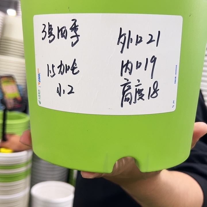 特价3号四季口21高18白色10个无托