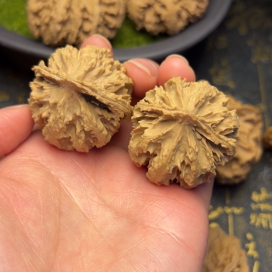 文玩核桃把件秦岭核桃12