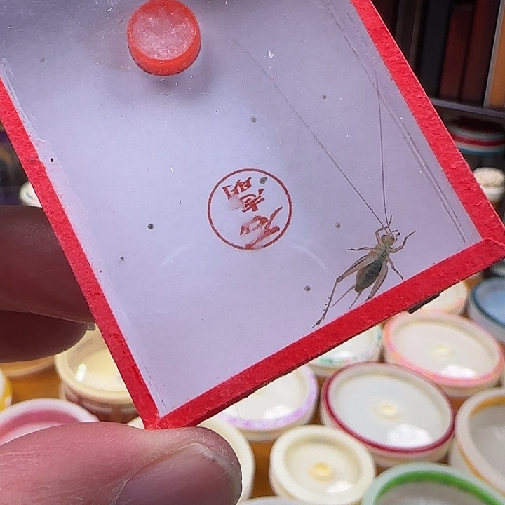 真***月我们的确是一个很好的朋友