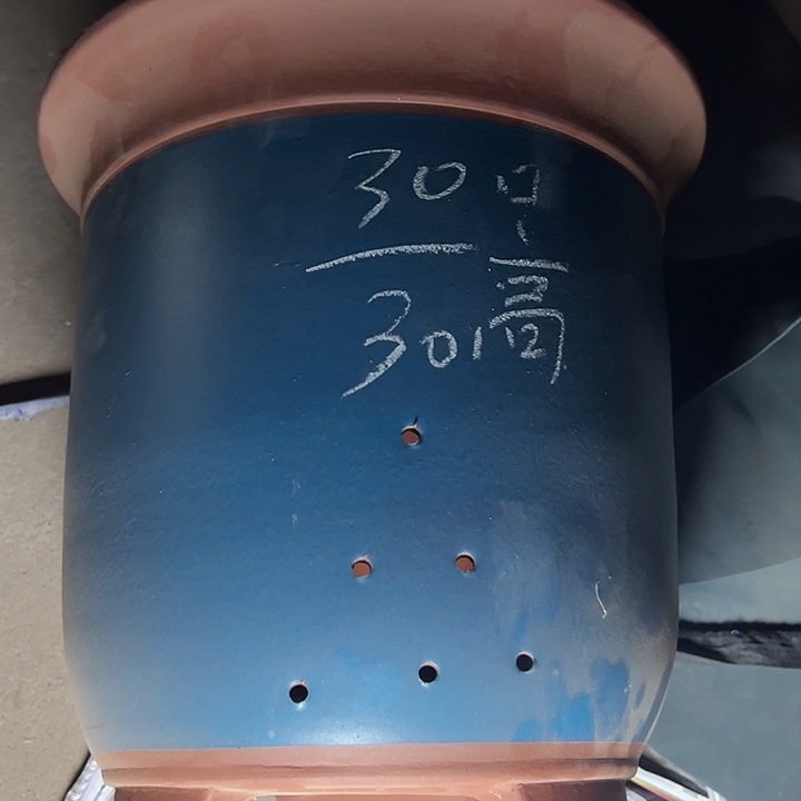 周三周四自作自受周三周四 