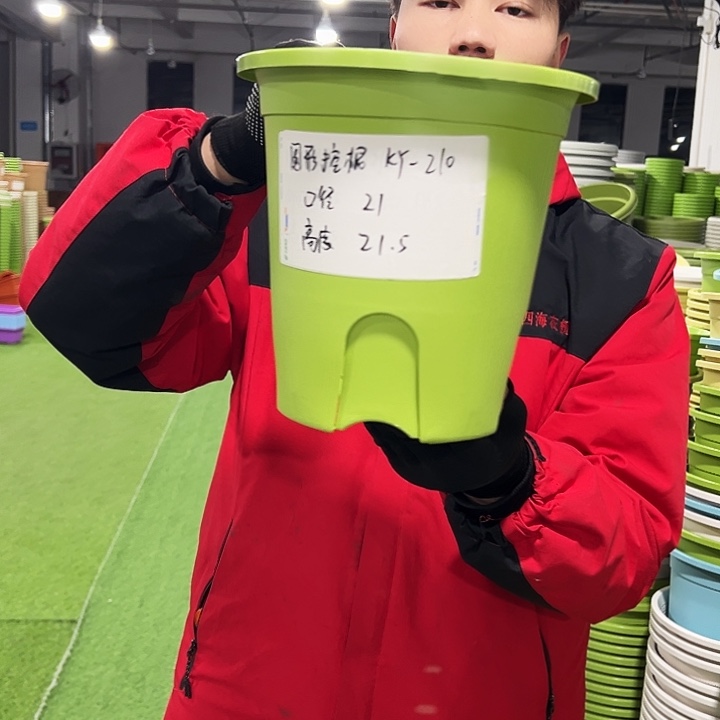 正品圆控口21高21果绿色8只无托