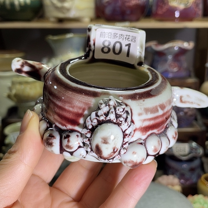 狼盆内口径5高度5