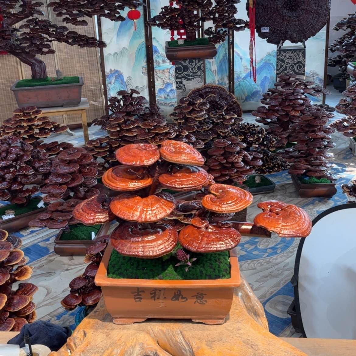 【闪购商品】88888