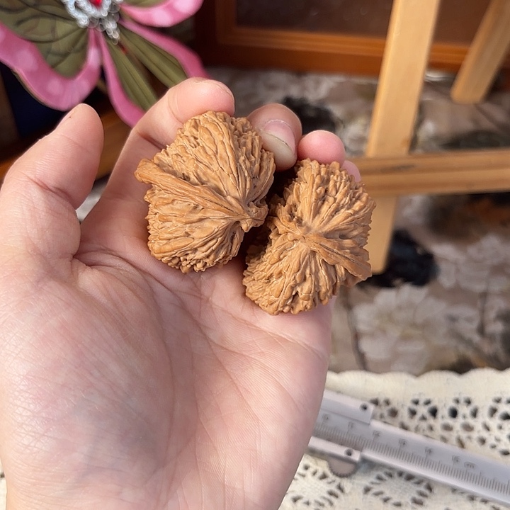 把件文玩核桃白狮子半壁