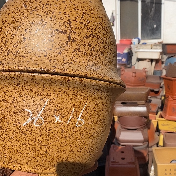 花盆紫砂紫砂花盆