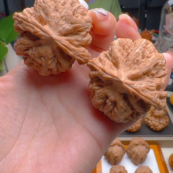 核桃把件46全品大粗筋